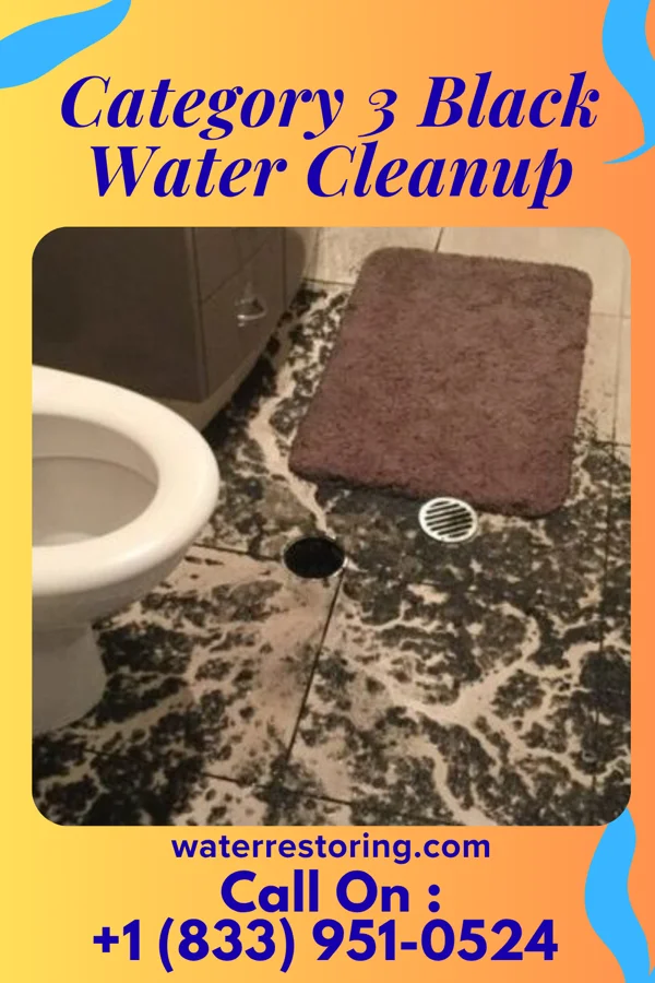 Category 3 Black Water Cleanup in Troy, ID