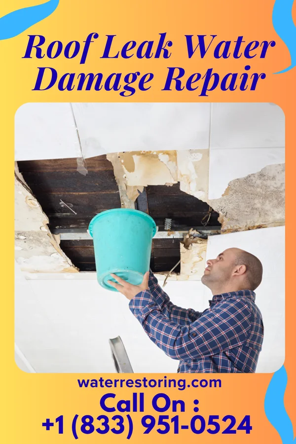 Roof Leak Water Damage Repair in Troy, ID